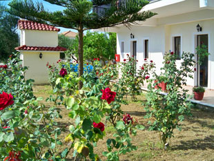 Red Rose Garden - Studios & Apartments - Tsilivi Zakynthos Zante Greece